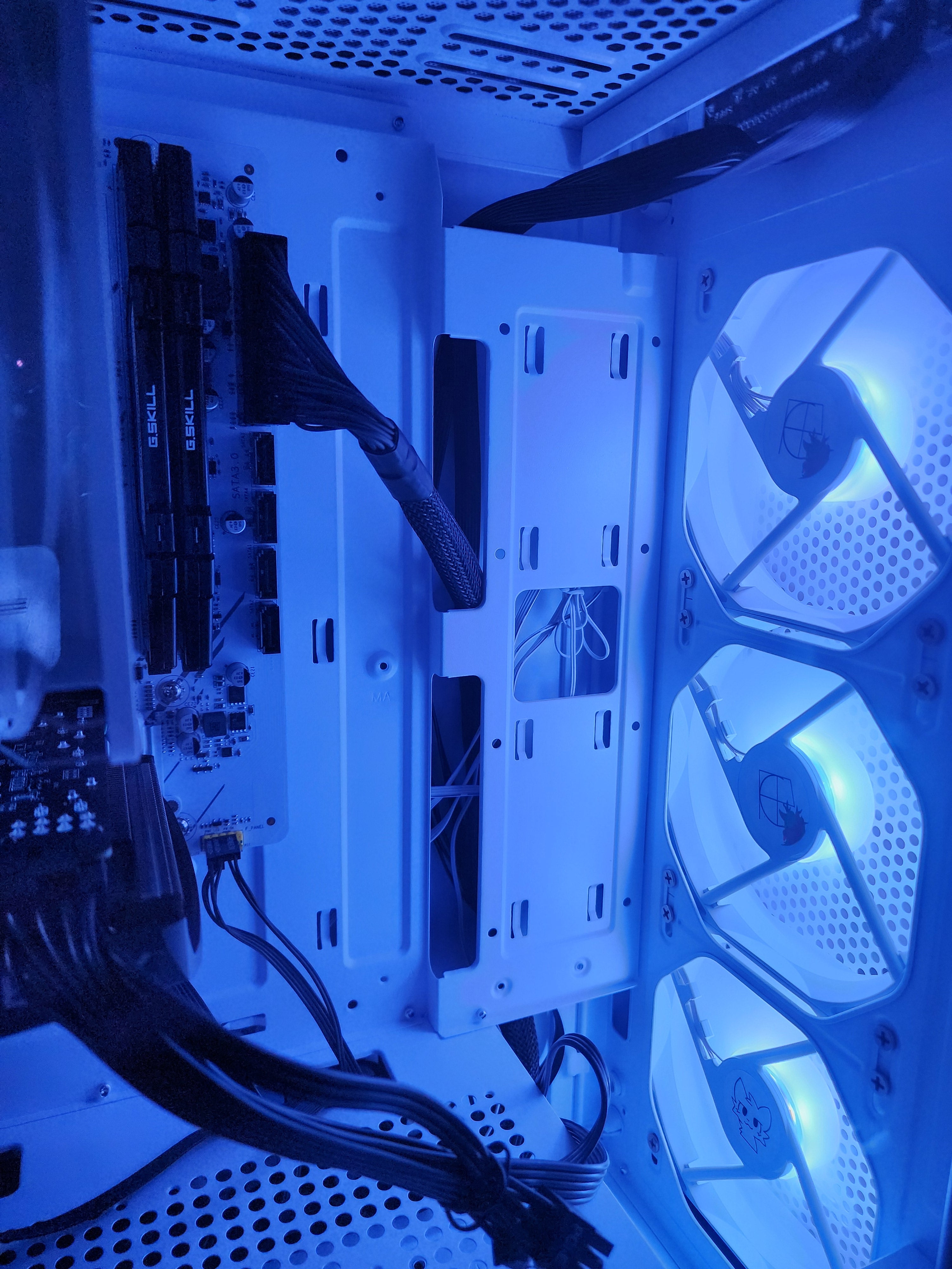 Birch Lite Limited | RTX 4060 | Ryzen 5 5500 | 16GB | 1TB