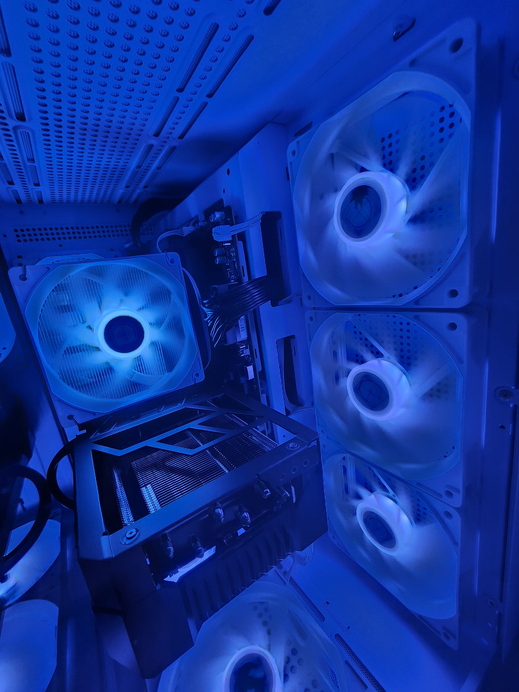 Birch Tough Ultra Limited | RTX 4080 | Ryzen 9 7900X | 64GB | 3TB
