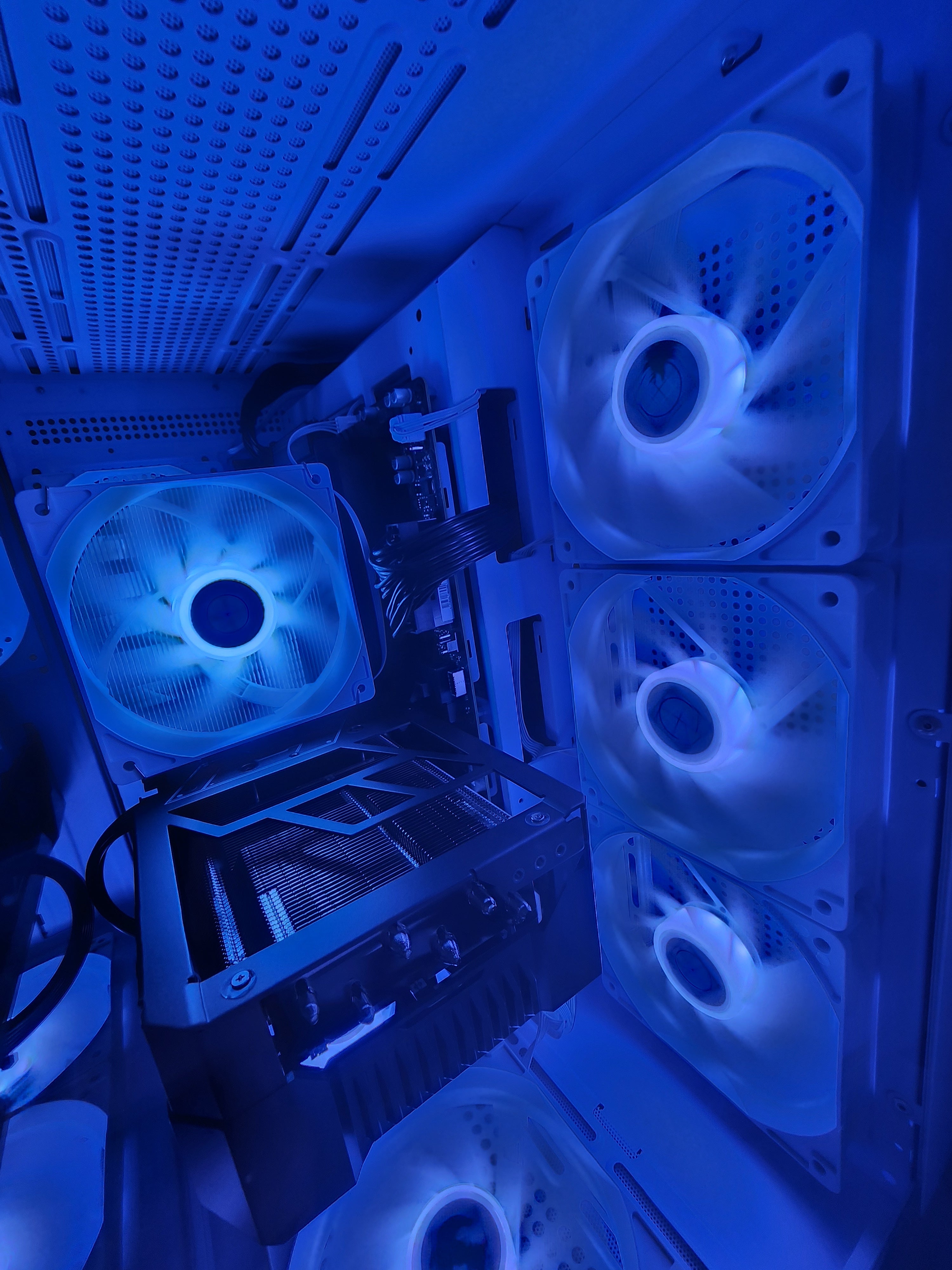 Birch Tough Ultra Limited | RTX 4080 | Ryzen 9 7900X | 64GB | 3TB